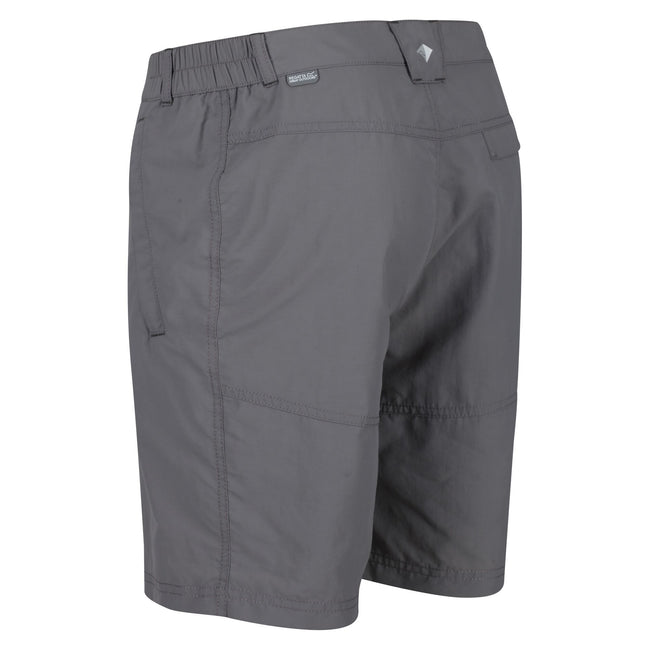 Ash - Side - Regatta Mens Leesville II Walking Shorts