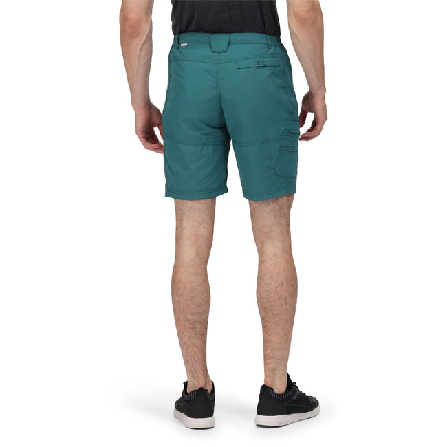 Pacific Green - Lifestyle - Regatta Mens Leesville II Walking Shorts