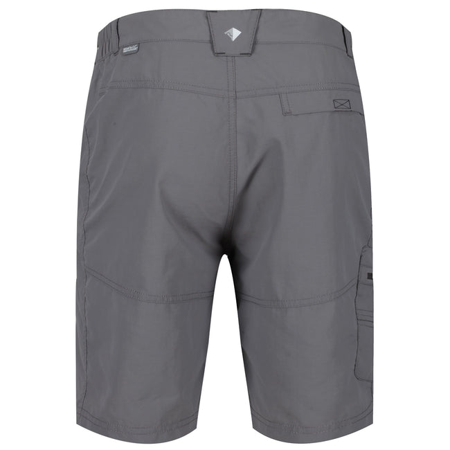 Rock Gray - Lifestyle - Regatta Mens Leesville II Walking Shorts