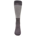 Ebony-Argent Grey - Front - Regatta Womens-Ladies Performance Socks