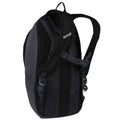 Black-Ebony - Back - Regatta Highton 20L Backpack