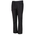 Ash - Pack Shot - Regatta Childrens-Kids Sorcer Walking Pants