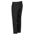 Ash - Close up - Regatta Childrens-Kids Sorcer Walking Pants