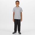 Ash - Back - Regatta Childrens-Kids Sorcer Walking Pants