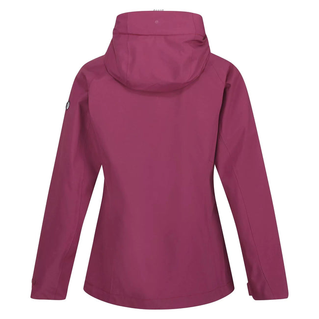 Amaranth Haze - Back - Regatta Womens-Ladies Britedale Waterproof Jacket