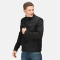 Black - Back - Regatta Mens Kadir Quilted Insulated Jacket