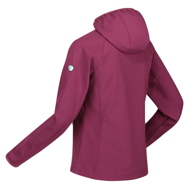 Dragonfly - Back - Regatta Womens-Ladies Ared III Soft Shell Jacket