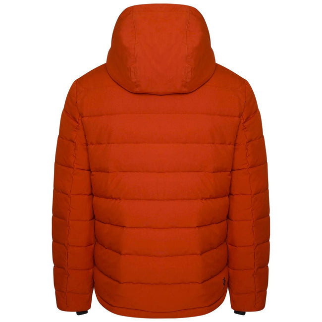 Burnt Brick - Back - Dare 2B Mens Endless III Padded Jacket