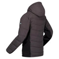 Ash - Lifestyle - Regatta Mens Cranmore Puffer Jacket