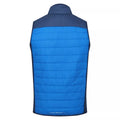Skydiver Blue-Admiral Blue - Back - Regatta Mens Halton VI Lightweight Body Warmer