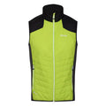 Bright Kiwi-Bright Kiwi-Black - Front - Regatta Mens Halton VI Lightweight Body Warmer