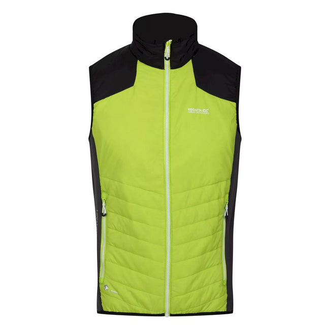Bright Kiwi-Bright Kiwi-Black - Front - Regatta Mens Halton VI Lightweight Body Warmer