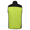 Bright Kiwi-Bright Kiwi-Black - Back - Regatta Mens Halton VI Lightweight Body Warmer