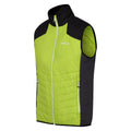 Bright Kiwi-Bright Kiwi-Black - Side - Regatta Mens Halton VI Lightweight Body Warmer