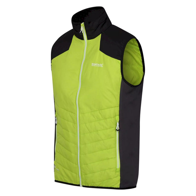 Bright Kiwi-Bright Kiwi-Black - Side - Regatta Mens Halton VI Lightweight Body Warmer