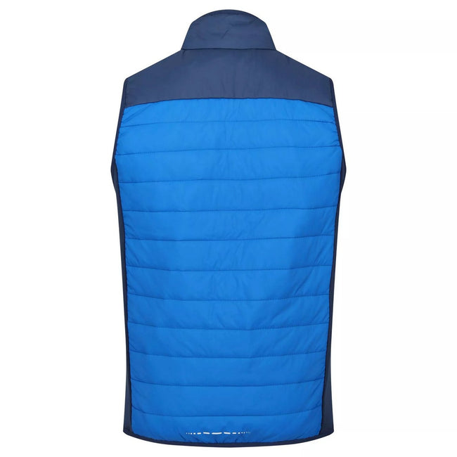 Sky Diver Blue-Admiral Blue - Back - Regatta Mens Halton VI Lightweight Body Warmer