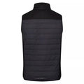Dark Grey-Black - Back - Regatta Mens Halton VI Lightweight Body Warmer