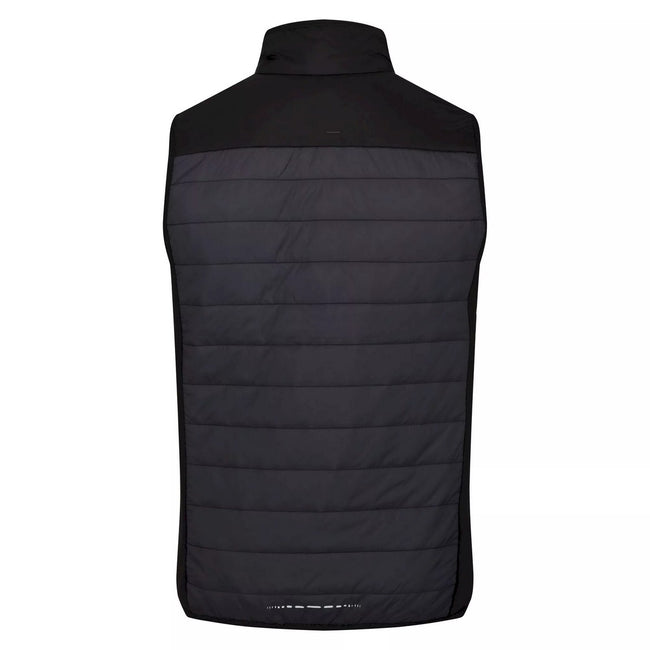 Dark Grey-Black - Back - Regatta Mens Halton VI Lightweight Body Warmer