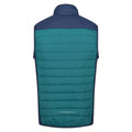 Pacific Green-Admiral Blue - Back - Regatta Mens Halton VI Lightweight Body Warmer