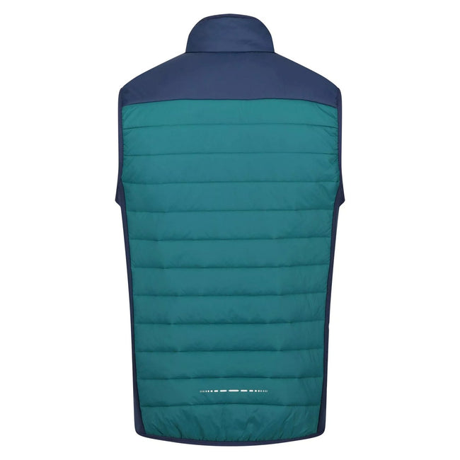 Pacific Green-Admiral Blue - Back - Regatta Mens Halton VI Lightweight Body Warmer
