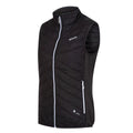 Black-Ash - Side - Regatta Womens-Ladies Halton V Softshell Body Warmer