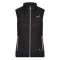 Black-Ash - Front - Regatta Womens-Ladies Halton V Softshell Body Warmer