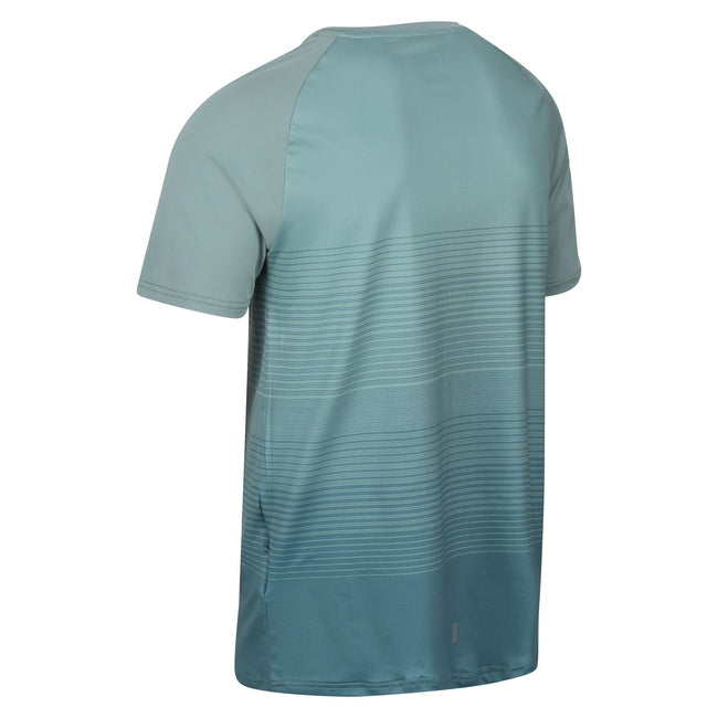 Ivy Moss - Lifestyle - Regatta Mens Pinmor Gradient T-Shirt