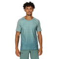 Ivy Moss - Pack Shot - Regatta Mens Pinmor Gradient T-Shirt
