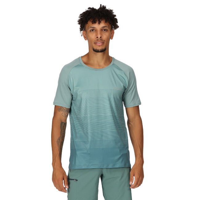 Ivy Moss - Pack Shot - Regatta Mens Pinmor Gradient T-Shirt