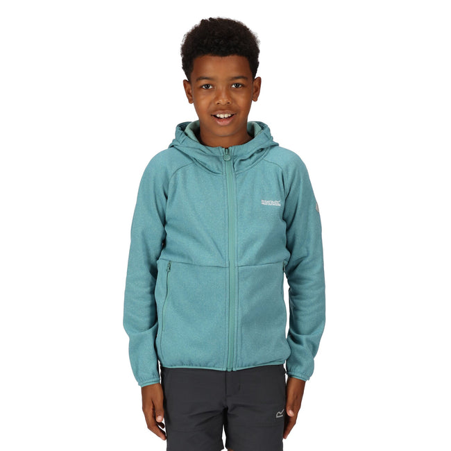 Bristol Blue - Pack Shot - Regatta Childrens-Kids Maxwell II Lightweight Fleece Jacket