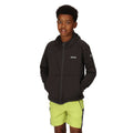 Seal Grey - Pack Shot - Regatta Childrens-Kids Maxwell II Lightweight Fleece Jacket