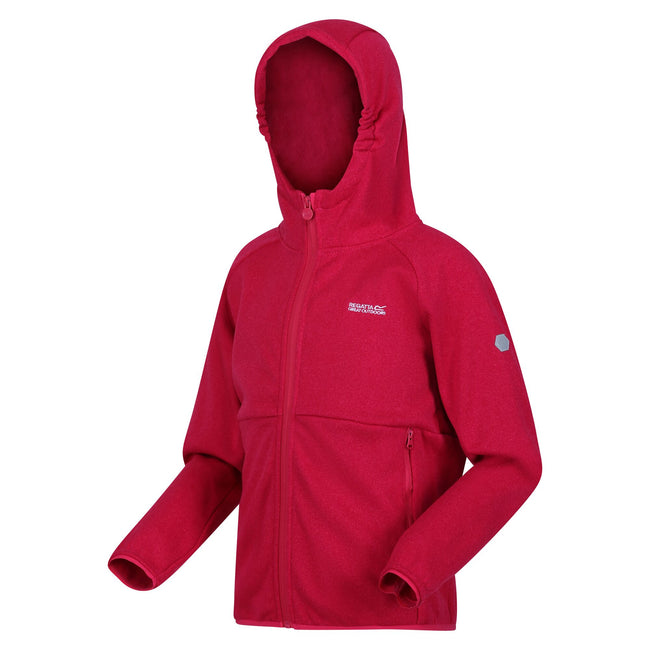 Pink Potion - Side - Regatta Childrens-Kids Maxwell II Lightweight Fleece Jacket