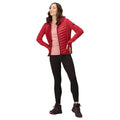 Rumba Red-Black - Lifestyle - Regatta Womens-Ladies Kelton Baffled Hybrid Jacket