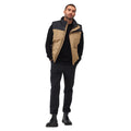 Gold Sand-Black - Pack Shot - Regatta Mens Hawfinch Baffled Vest