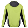 Green Algae-Ash - Back - Regatta Mens Tarvos VI Soft Shell Jacket