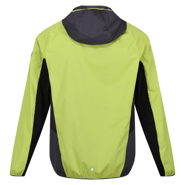 Green Algae-Ash - Back - Regatta Mens Tarvos VI Soft Shell Jacket