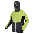 Green Algae-Ash - Side - Regatta Mens Tarvos VI Soft Shell Jacket