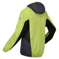 Green Algae-Ash - Lifestyle - Regatta Mens Tarvos VI Soft Shell Jacket