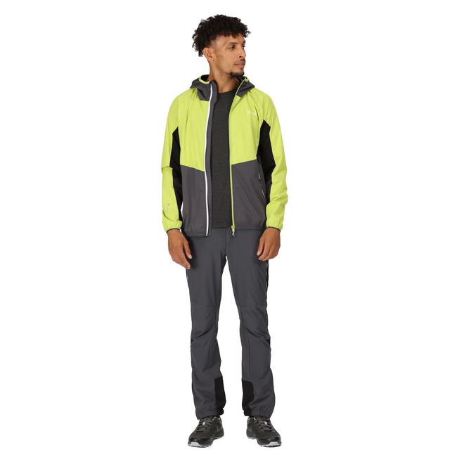 Green Algae-Ash - Pack Shot - Regatta Mens Tarvos VI Soft Shell Jacket