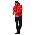 Danger Red - Lifestyle - Regatta Mens Toploft III Baffled Padded Jacket
