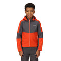 Rusty Orange-Slate Grey - Pack Shot - Regatta Childrens-Kids Acidity VI Lightweight Soft Shell Jacket