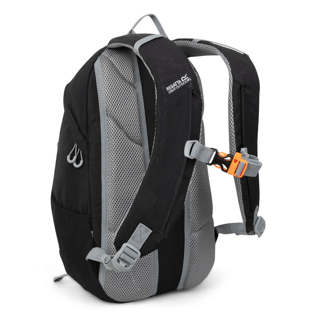 Black - Back - Regatta Survivor V4 5.2gal Knapsack
