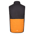 Orange Pepper-Black - Back - Regatta Mens Halton VII Padded Vest