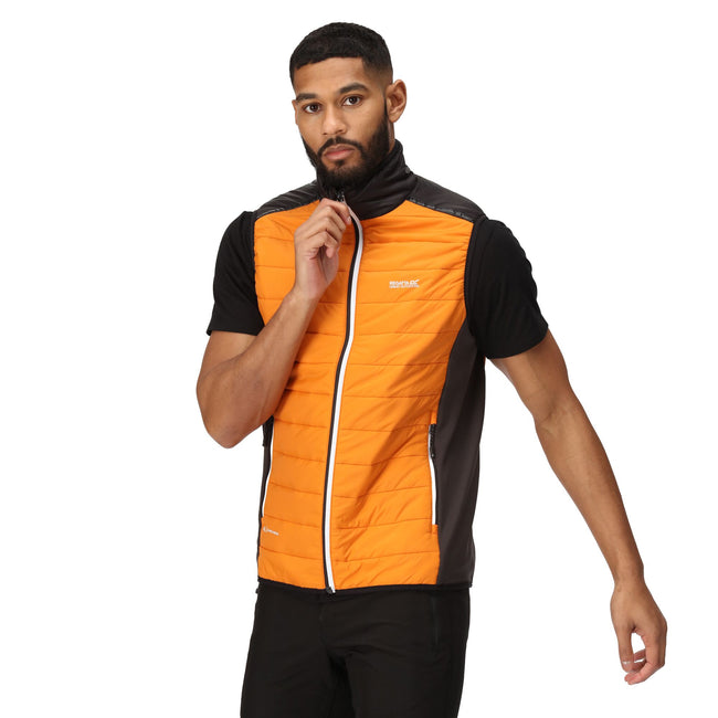 Orange Pepper-Black - Lifestyle - Regatta Mens Halton VII Padded Vest