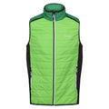 Jasmine Green-Field Green - Front - Regatta Mens Halton VII Padded Vest