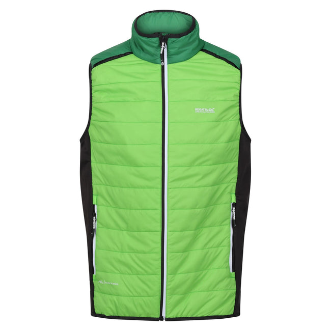 Jasmine Green-Field Green - Front - Regatta Mens Halton VII Padded Vest