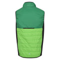 Jasmine Green-Field Green - Back - Regatta Mens Halton VII Padded Vest
