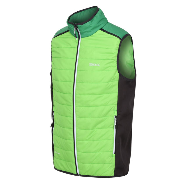 Jasmine Green-Field Green - Side - Regatta Mens Halton VII Padded Vest