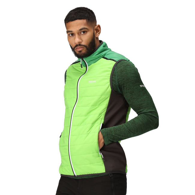 Jasmine Green-Field Green - Lifestyle - Regatta Mens Halton VII Padded Vest