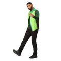 Jasmine Green-Field Green - Pack Shot - Regatta Mens Halton VII Padded Vest